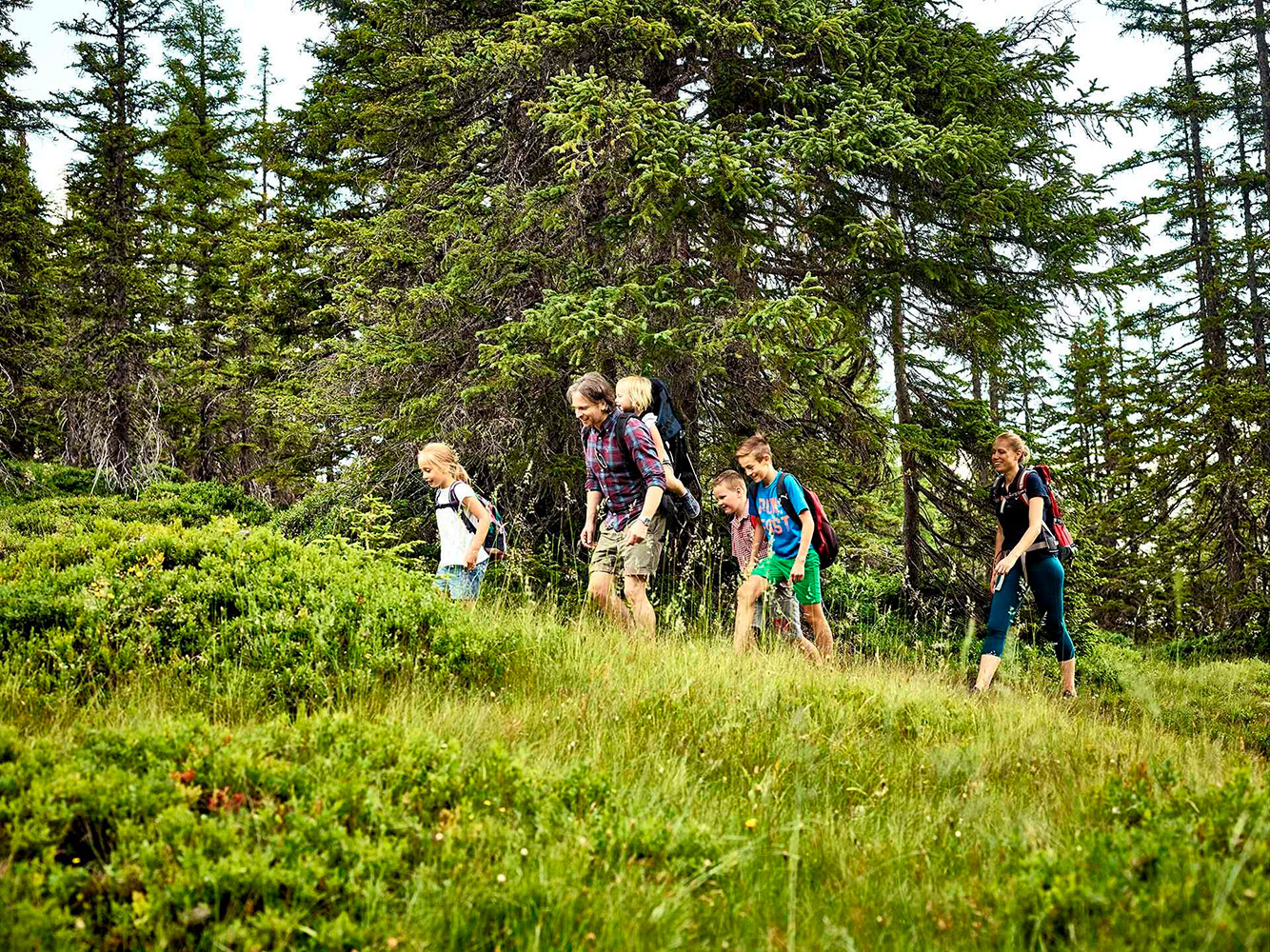 tillis-waldpfad-familienwanderung.jpg